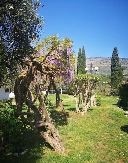 Villetta Blue Garden Sonnino Exteriér fotografie