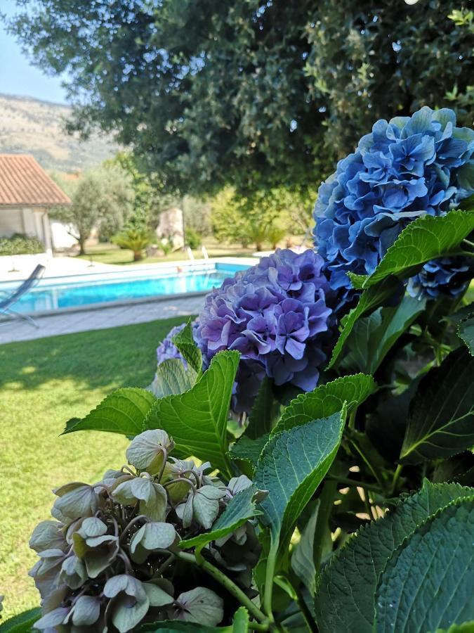 Villetta Blue Garden Sonnino Exteriér fotografie