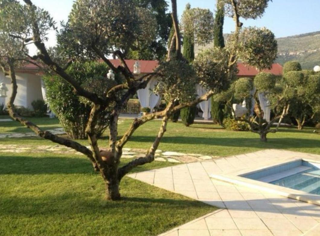 Villetta Blue Garden Sonnino Exteriér fotografie
